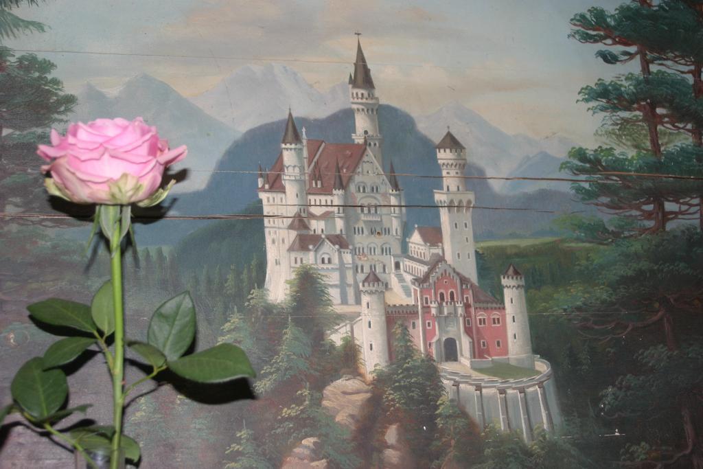 Haus Magnolia Apartman Schwangau Kültér fotó
